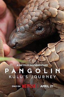 Pangolin Kulu’s Journey (2025) การเดินทางของคูลู